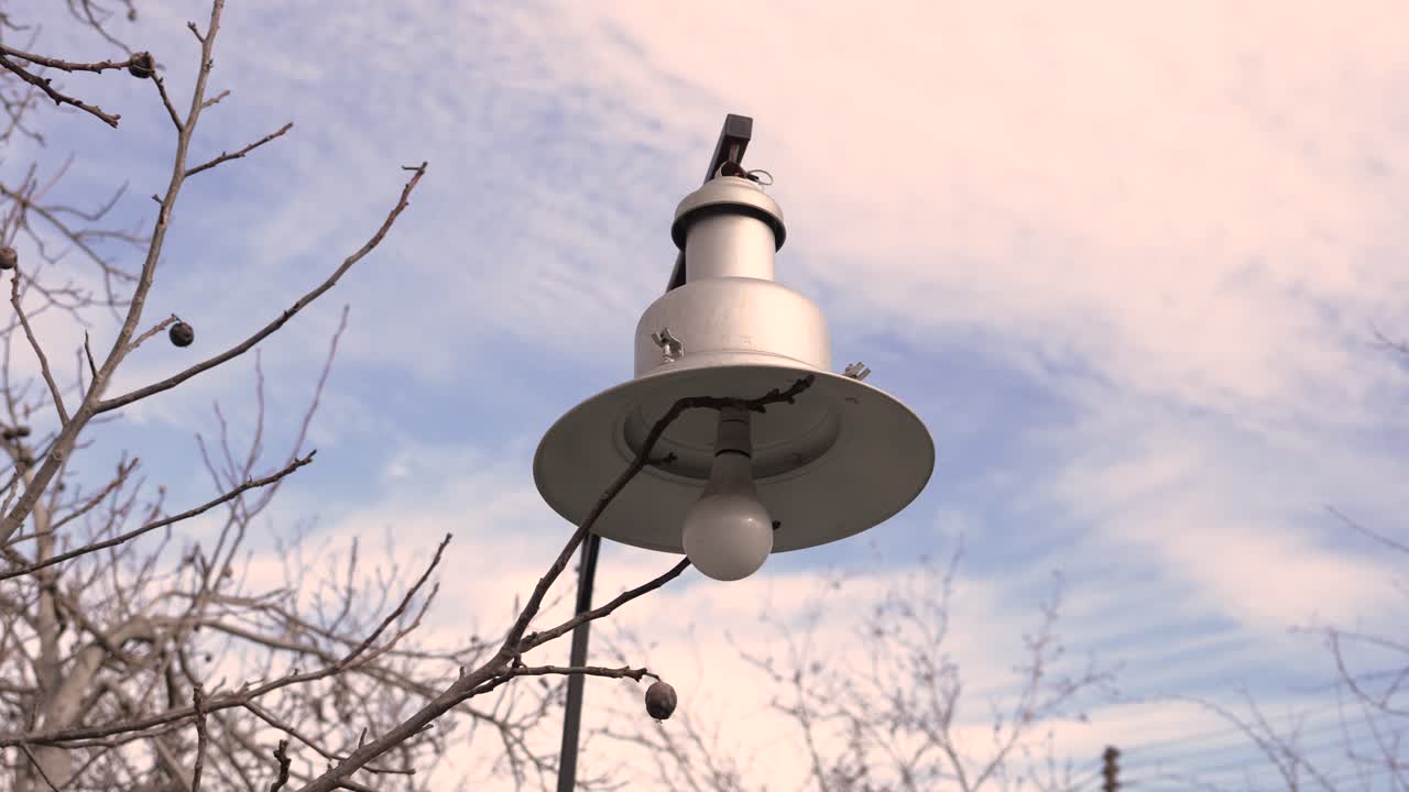Un lampadario è appeso al ramo di un albero in un parco. Il cielo è nuvoloso e il sole splende. Questa installazione illumina l'area durante il giorno.