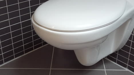 toilet bowl, lavatory in modern bathroom with black and grey tiles, hd 1080p, close up, tilt down move