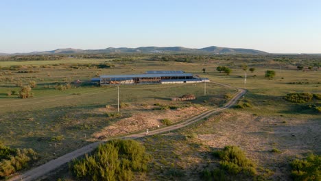 Drone-static,-lone-person-walks-along-winding-dirt-road-towards-farm-shelter-in-Mongolia-grassland