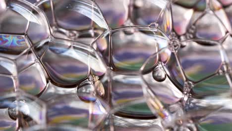 macro shot of colorful shiny bubbles and rainbow colors