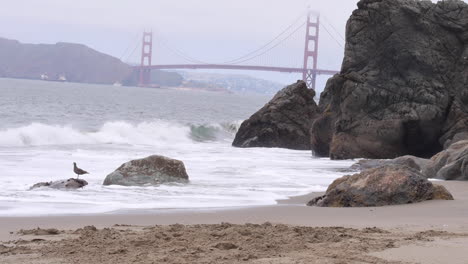 waves crash against rocks on golden gate bridge beach in san francisco