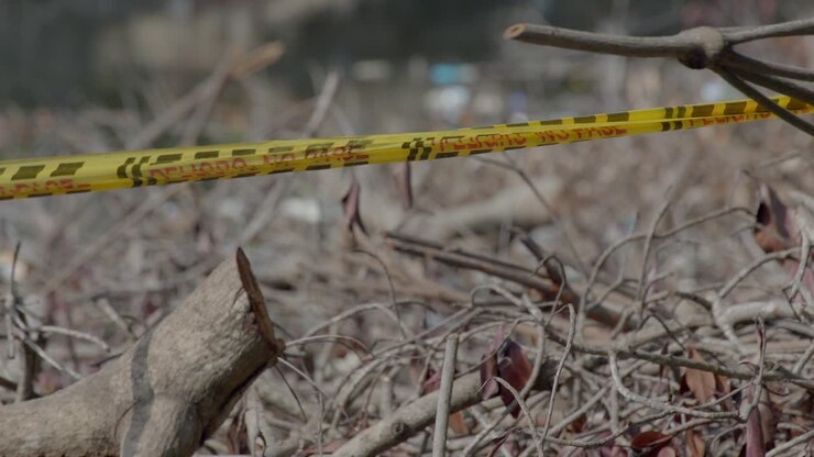 A danger tape cuts off a scene on wooden logs