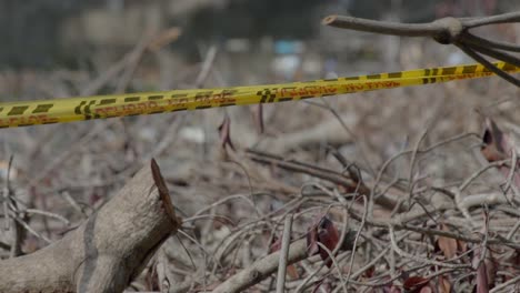 a danger tape cuts off a scene on wooden logs