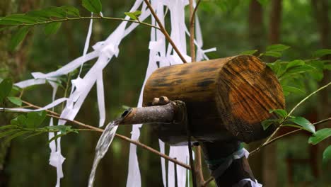 primer plano, purificación de agua del santuario, kumano kodo japón