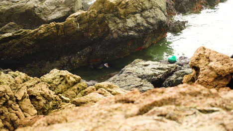 person diving and looking for seafood near rocky coastline of vietnam