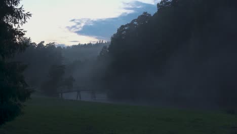 Neblige-Abendnatur-In-Grüner-Sommerlandschaft