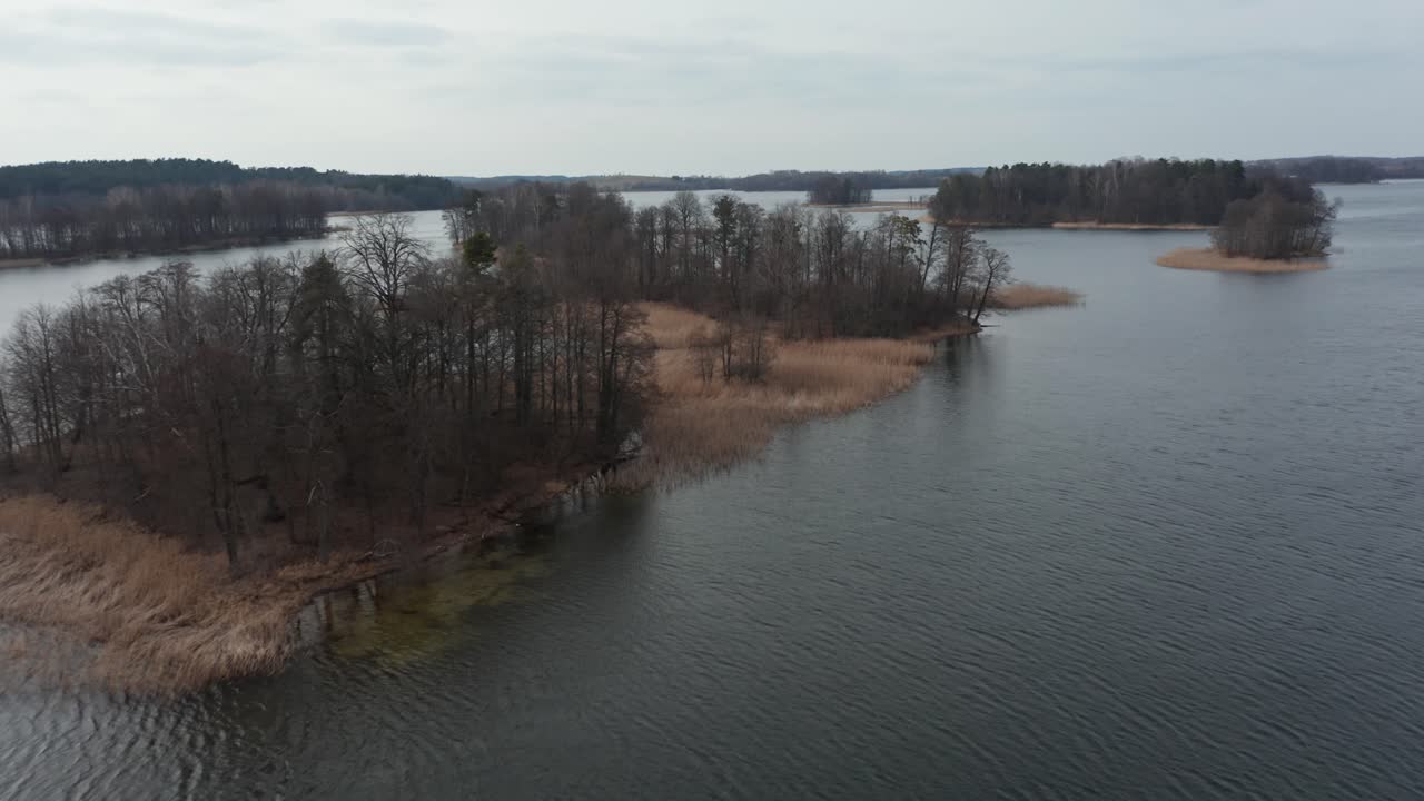 antena: pequeña isla en el lago con juncos y árboles en un sombrío día ventoso de primavera