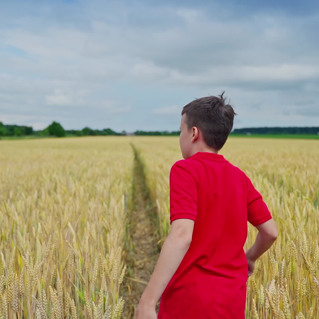 Child in wheat field