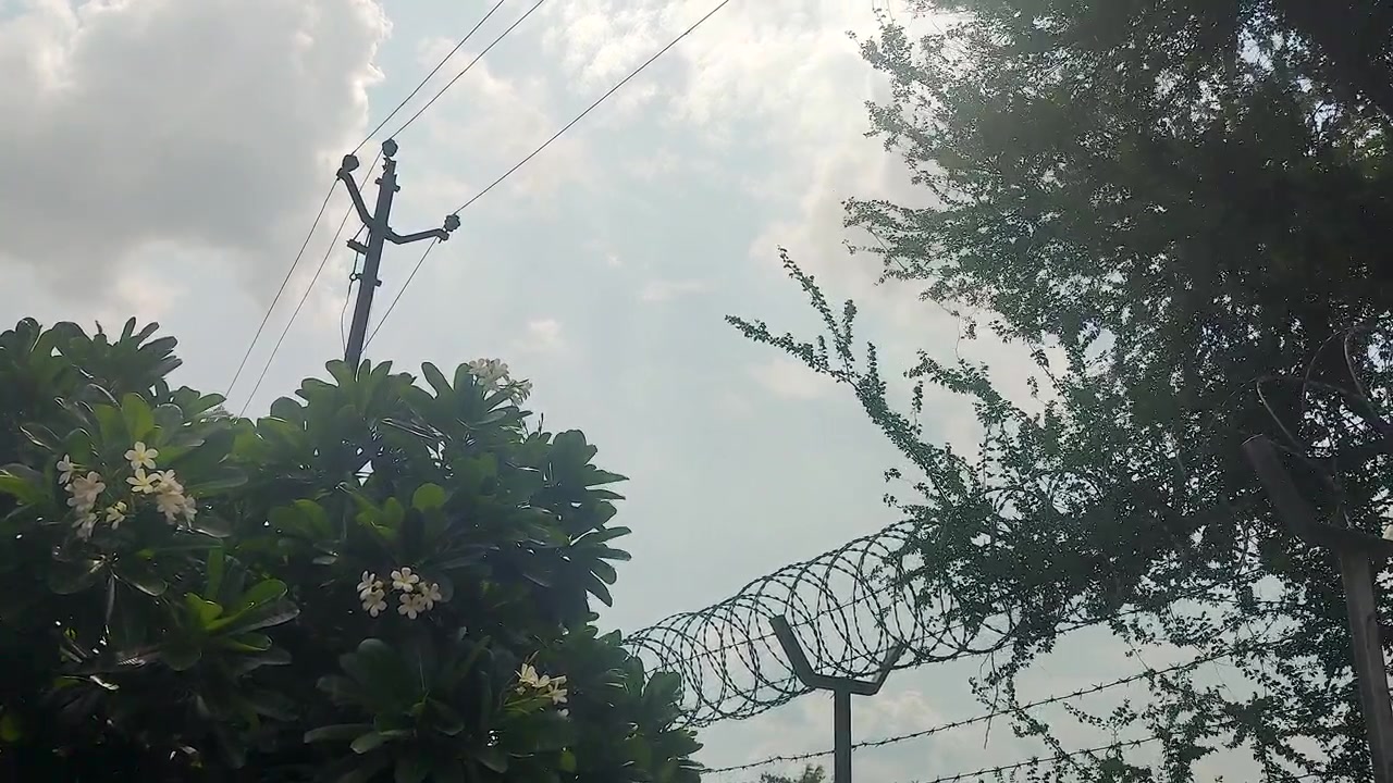 Security perimeter fence with razor wire, utility poles and vegetation. Ideal for border security, restricted access, surveillance, infrastructure protection, and safety concepts.