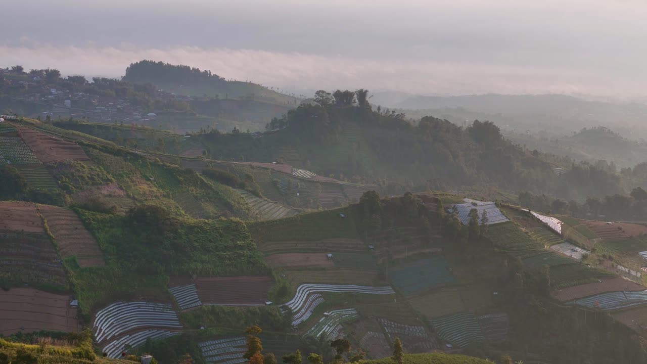 Misty Sunrise over Terraced Farmlands in the Mountains