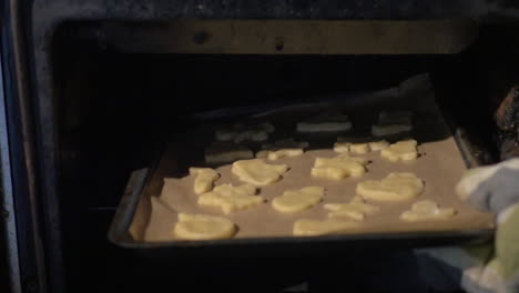 putting baking tray with cookies into the oven