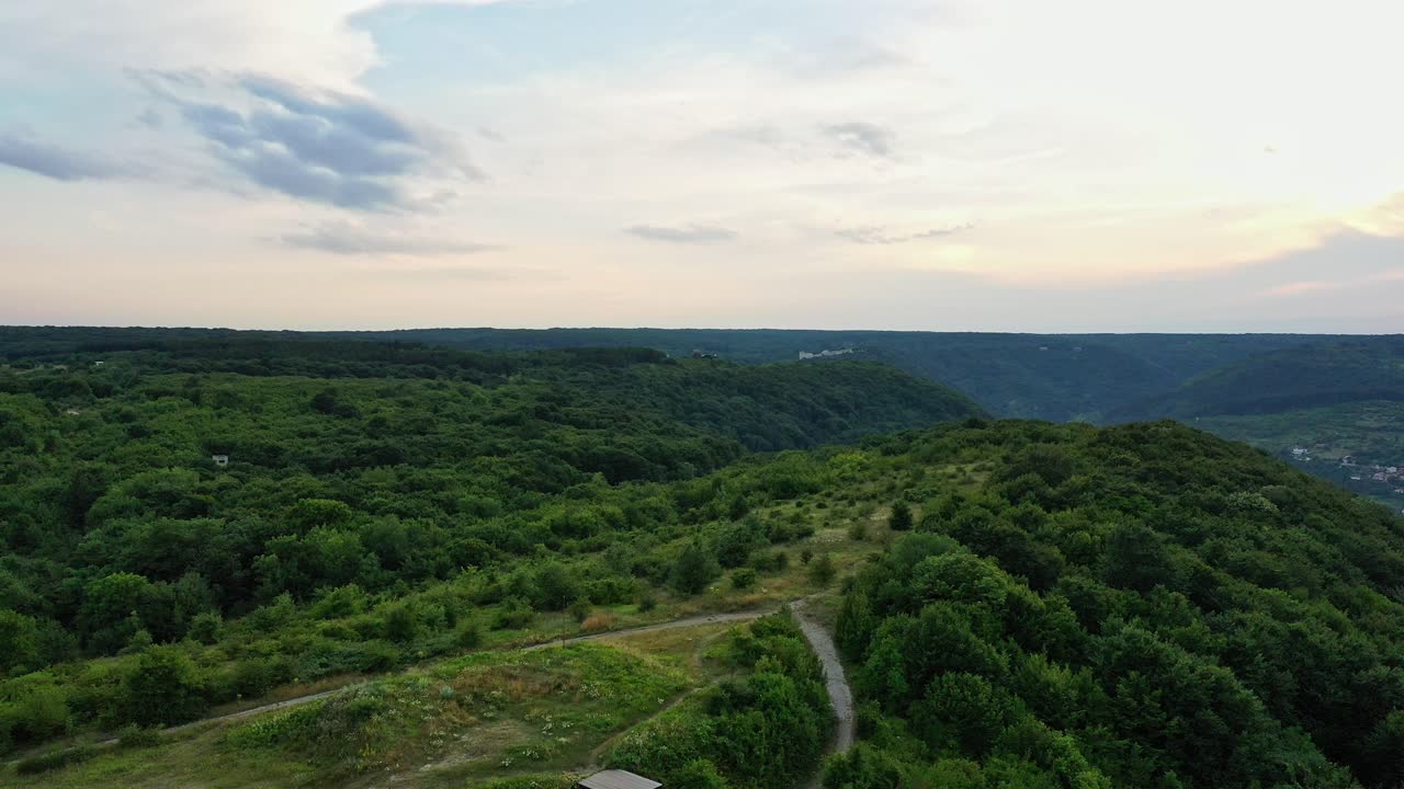 volando sobre los árboles verdes en la montaña con el cielo abierto