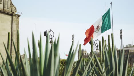 Patriotic-Mexican-flag-in-the-main-square-with-cactus-in-foreground