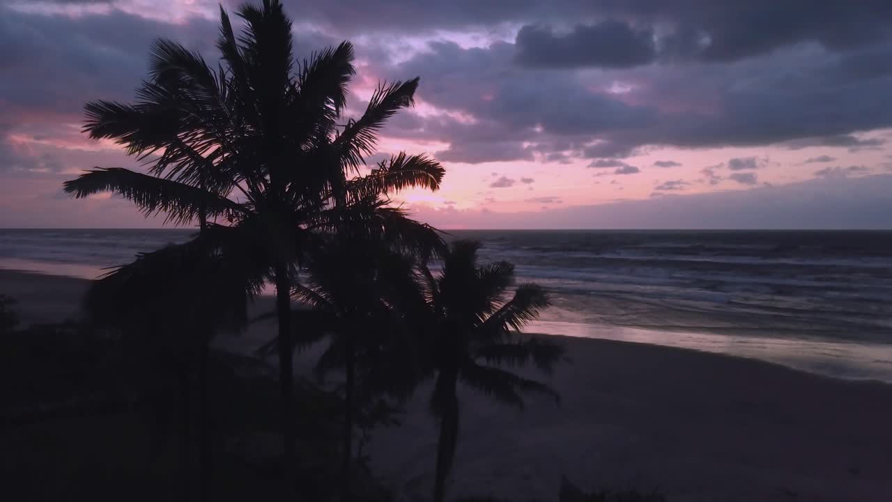 브라질 해가 뜨는 해변 과 바다 의  ⁇  나무 들 을 드론 으로 찍는 장면