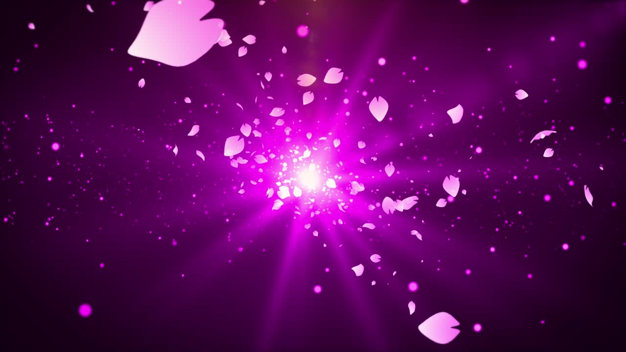 사쿠라 체리 꽃 입자 애니메이션