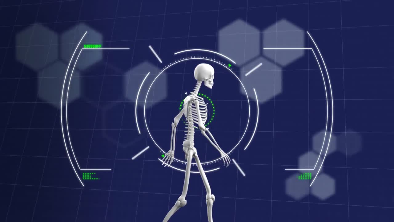 animación de escaneo de alcance y datos médicos sobre el esqueleto humano caminando
