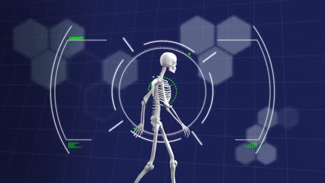 animación de escaneo de alcance y datos médicos sobre el esqueleto humano caminando