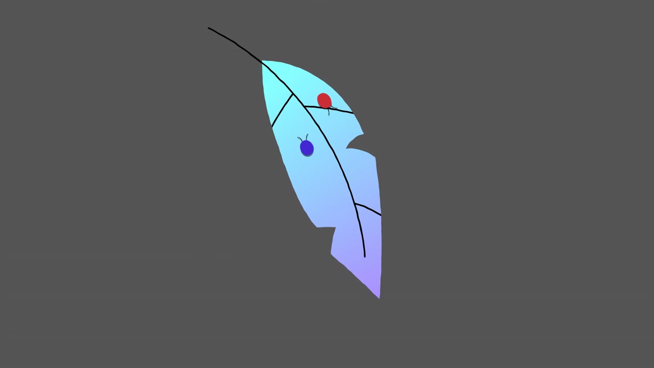 Fiore 27