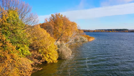 aerial view of autumn landscape and river. aerial drone view of large river and forest during autumn