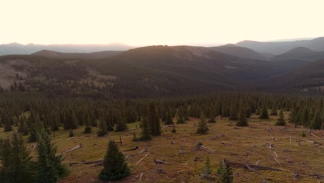 Tarde-En-La-Noche-En-El-Desierto-De-La-Sartén