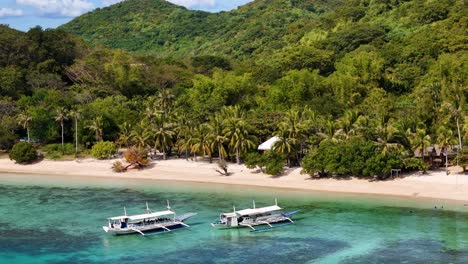 playa de una isla tropical con barcos