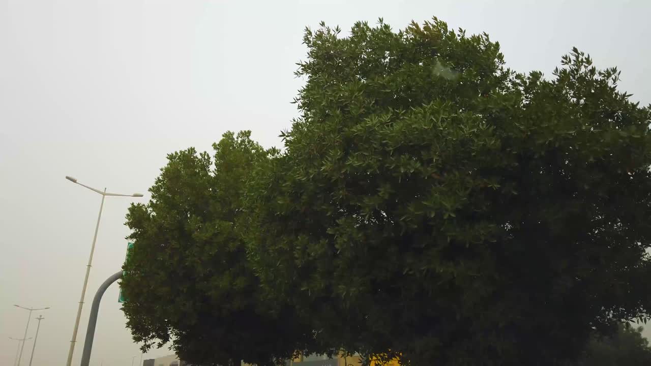 사우디아라비아 리야드의 모래폭풍