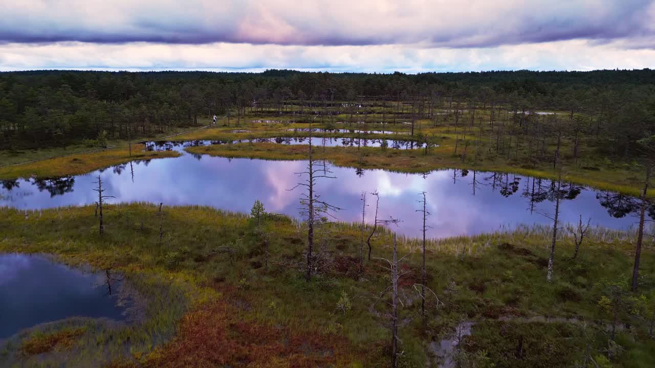 Autumn colors glow around the dark reflective lakes of Viru Bog Estonia where pine forests and moss wetlands create a tranquil nature reserve inside Lahemaa National Park