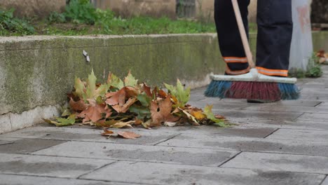 a person sweeping leaves off a city sidewalk