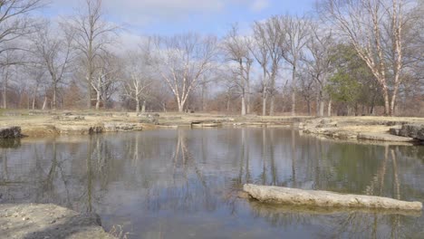 aún estanque en un parque