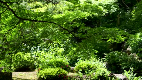 Slow-motion-sparkling-water-reflections-against-green-tree-in-lush-summer-garden