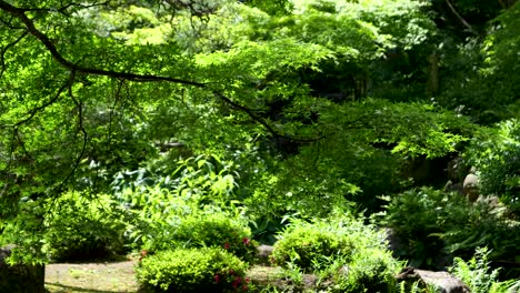 slow motion sparkling water reflections against green tree in lush summer garden