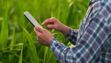 Close-up-of-lens-flare:-farmer's-Hands-holding-a-tablet-computer-and-touch-and-inspect-the-leaves-of-the-shoots-of-the-future-crop-sending-agronomists-to-study-the-gene-of-modified-products.-Preparation-of-products-for-growing-on-Mars.