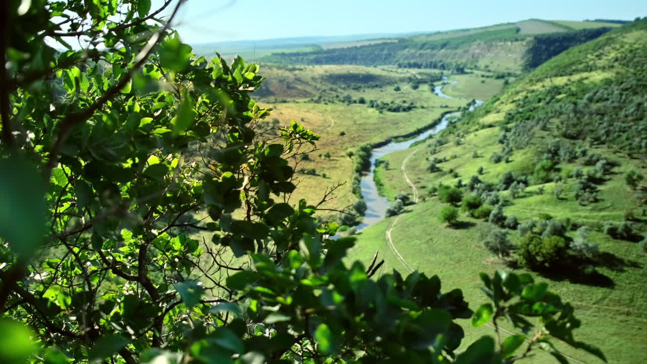 Nature of Moldova. Valley with river, greenery, hills, fields. Tree branches on the foreground