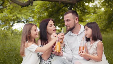 un picnic de familia feliz