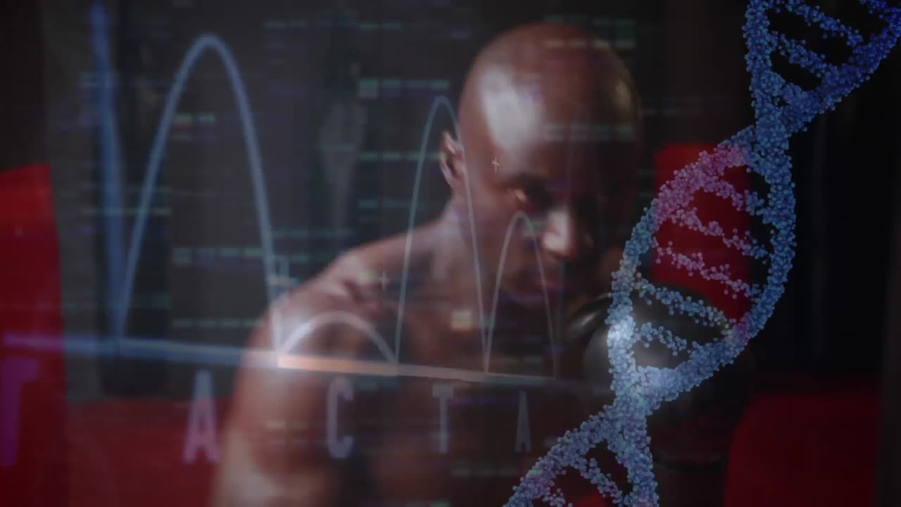 Statistics of a boxer