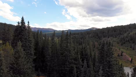 Rocky-mountain-fly-over-grove-of-trees-near-highway-during-summer
