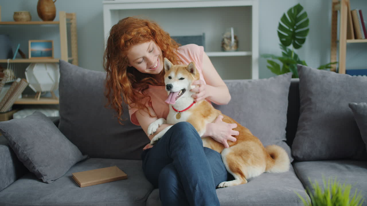 Woman cuddling with Shiba Inu dog on a couch