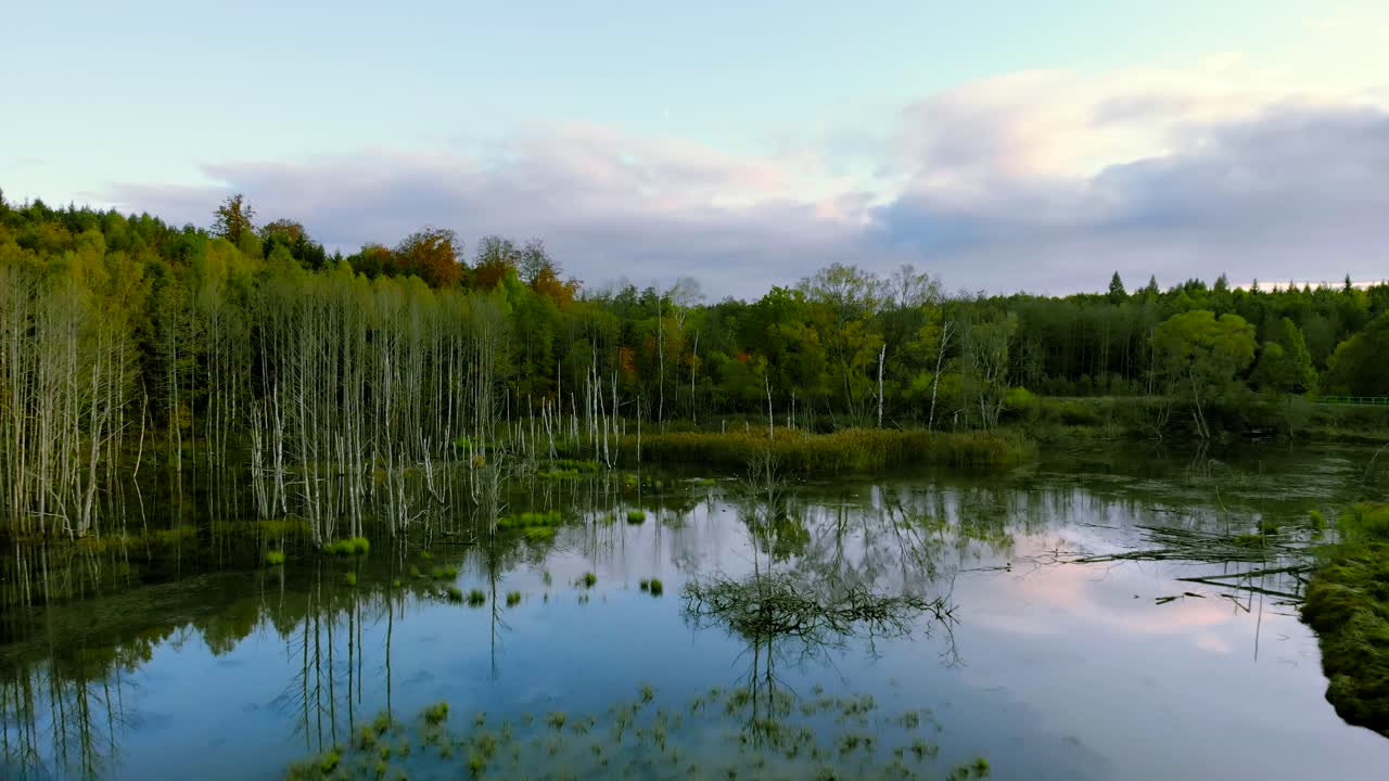 Luftfoto ved dammen om høsten, trær uten blader, nakne trestammer, fargerikt landskap rundt, vakker solnedgang, Warmia og Masuria, Polen.
