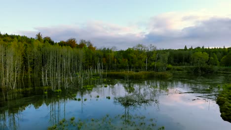 Aerial-footage-at-the-pond-in-autumn,-trees-without-leaves,-bald-stems-of-trees,-colorful-landscape-around,-beautiful-sunset,-warmiaand-masuria,-Poland