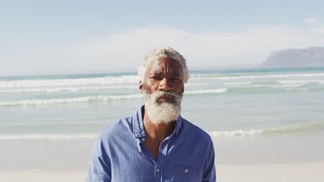 portrait of senior african american man on sunny beach