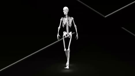 digital animation of human skeleton walking against white lines on black background