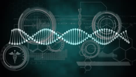 animation of dna strand spinning and data processing