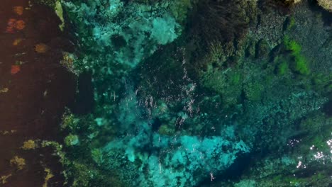 Amazing-aerial-of-fresh-water-discharged-from-Pupu-Spings,-New-Zealand