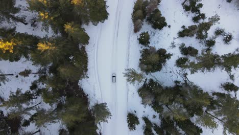 Ruta-Segura-Invierno