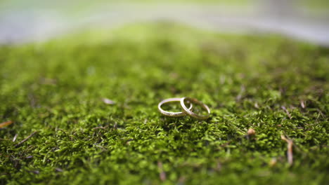 wedding rings on forest moss