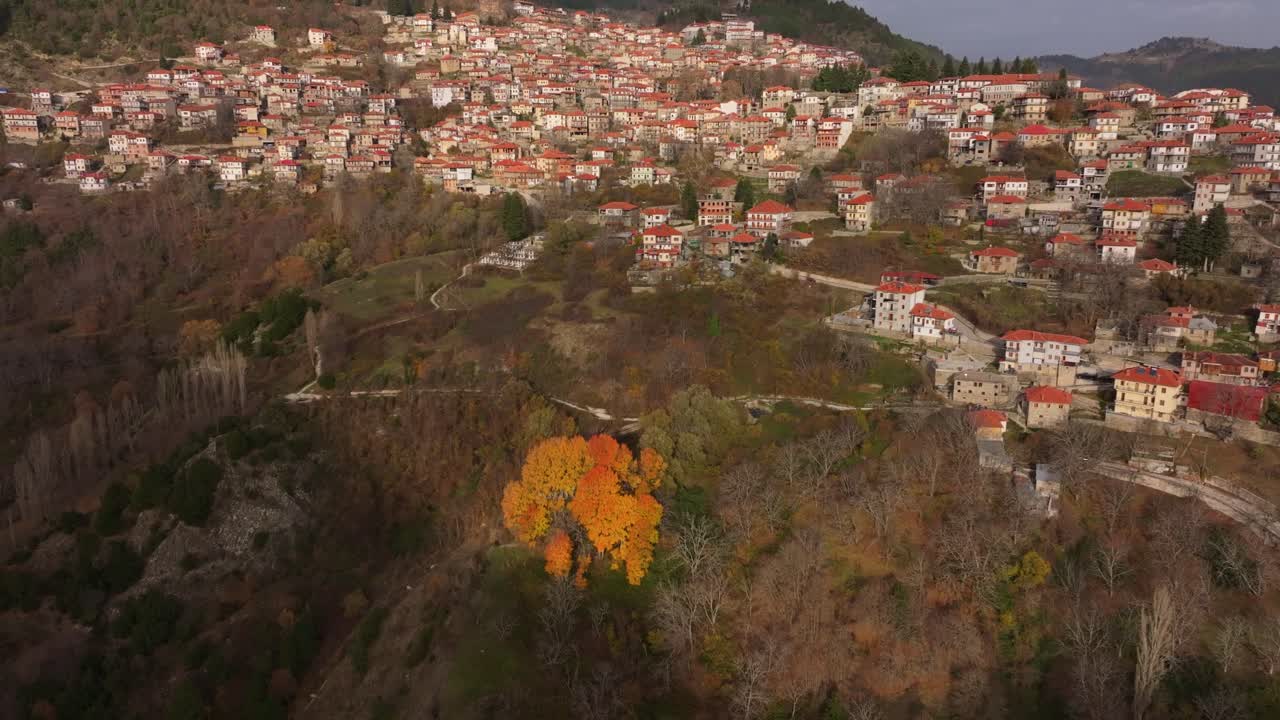 Scorcio aereo di case tradizionali avvolte nella foresta, Metsovo