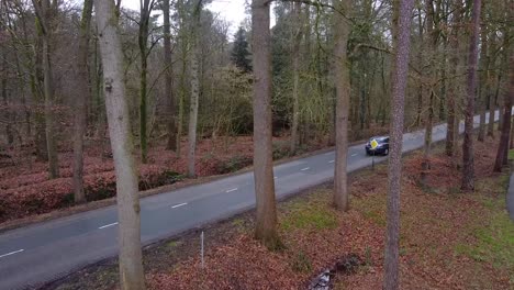 side view of a road in the forest, black car driving on the road