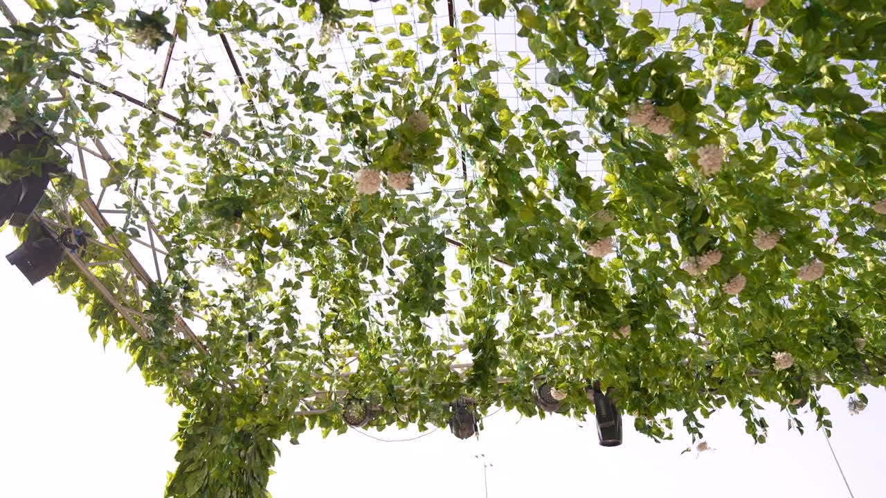 belleza botánica ecológica