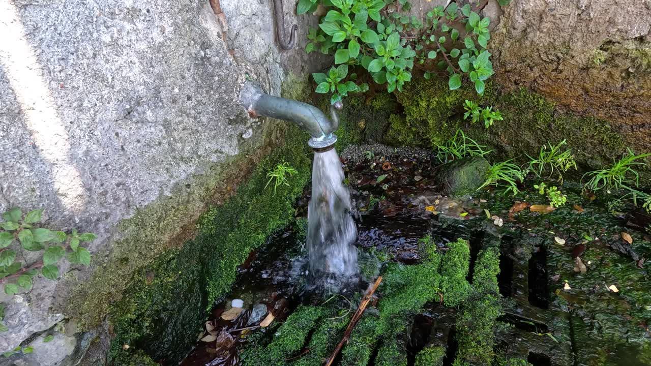el agua fluye de la tubería hacia el drenaje de musgo
