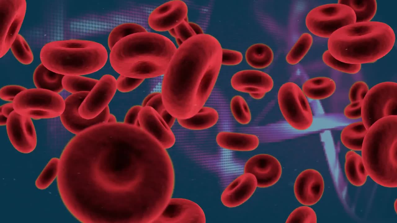 glóbulos rojos y doble hélice de adn